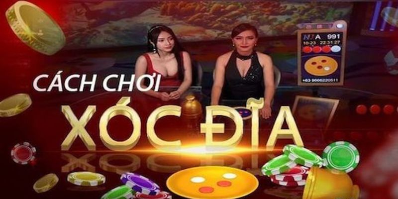 CÁCH ĐÁNH XÓC ĐĨA CHẮC THẮNG TỪ A-Z CHO NGƯỜI MỚI BẮT ĐẦU